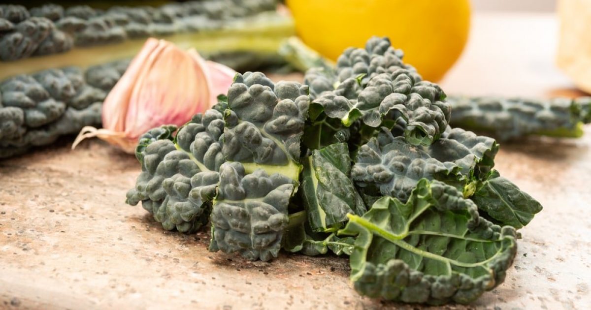 Cavolo Nero and Apple Salad | Groobarb's Wild Farm