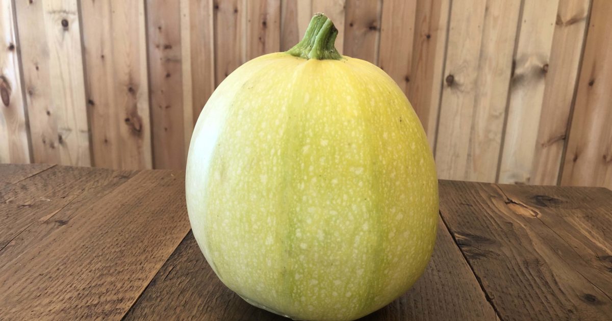 Spaghetti Squash with Fennel, Parsley & Sunflower Seed Pesto and Cheshire Cheese | Groobarb's Wild F