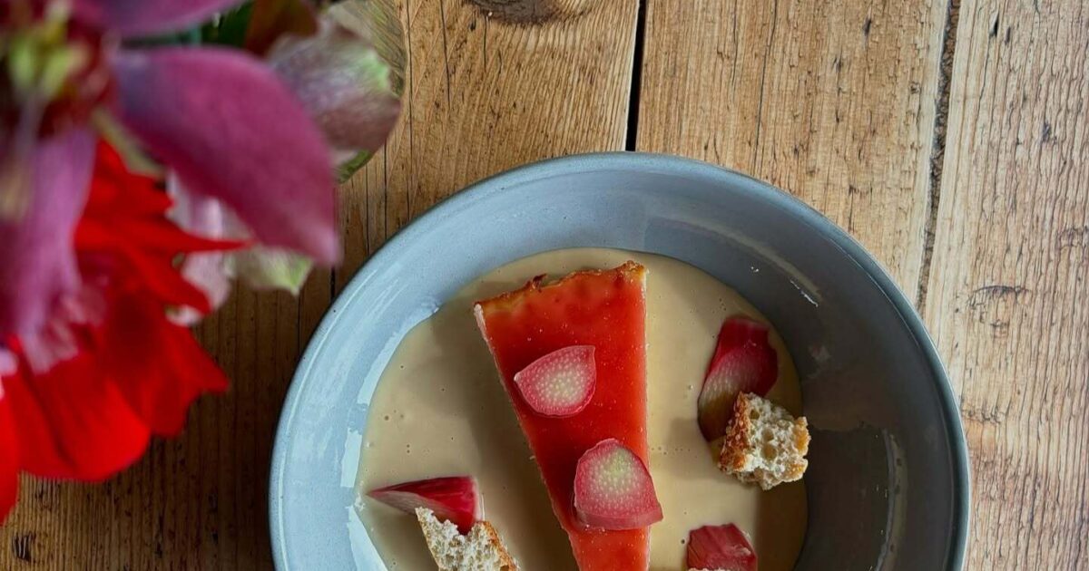 Rhubarb & White Chocolate Torte | Groobarb's Wild Farm