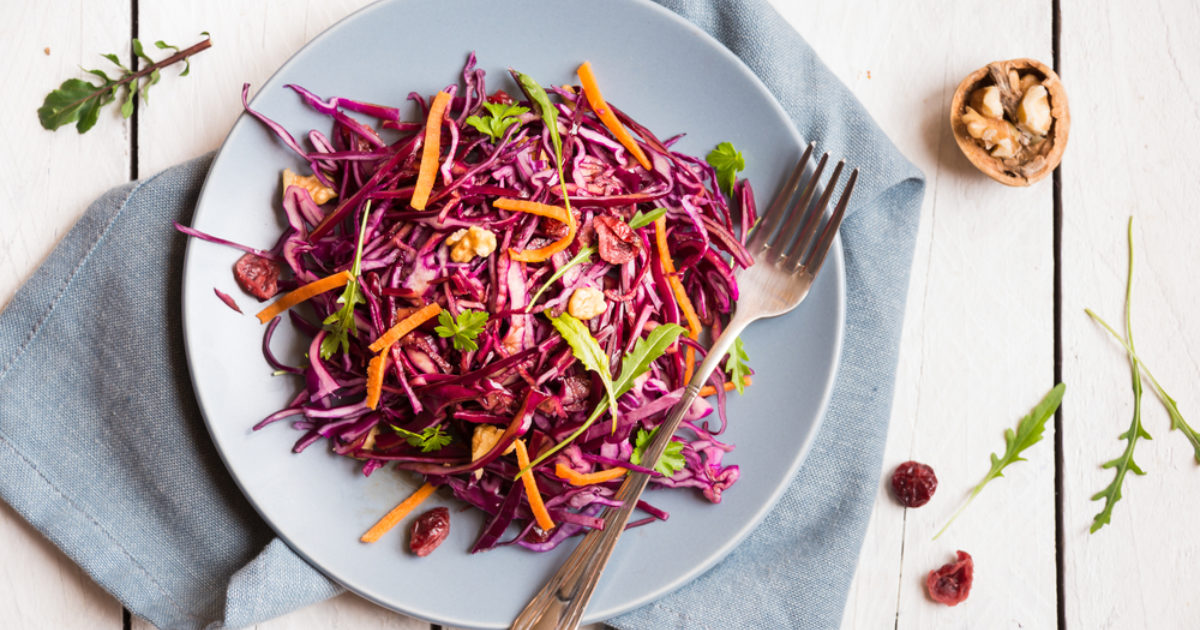 Red Cabbage, Carrot and Onion Salad | Groobarb's Wild Farm