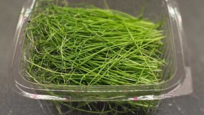 2bfa335e f8fb 4bed 91f5 22104bcfbb65