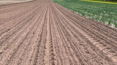 Dry soil
