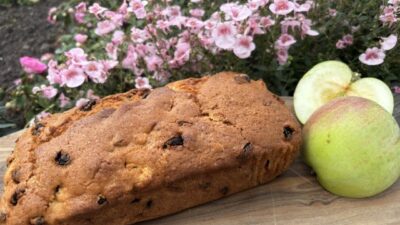 Baby Apple Sultana Loaf