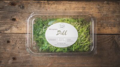 Dill