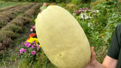 IMG 3696