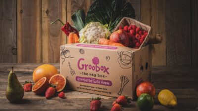 XS Fruit Veg Box