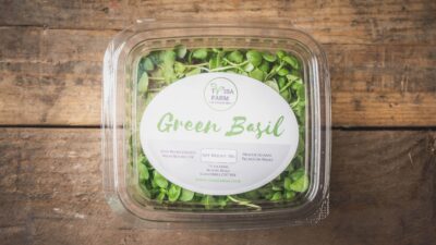 Green basil