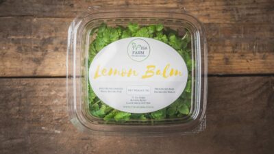 Lemon balm