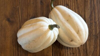 Mash pot squash
