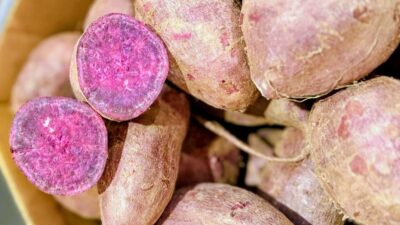 Purple sweet potatoes