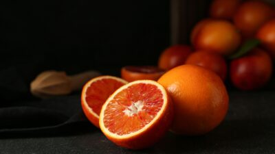 Shutterstock 2402605417