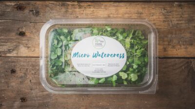 Watercress
