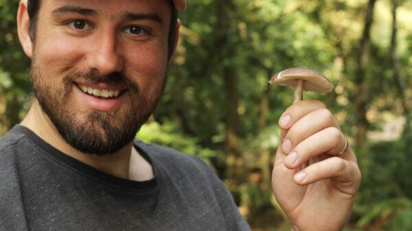 672a1f9df0d3dc4561a0b29e Whats App Image 2024 10 29 at 10 12 15