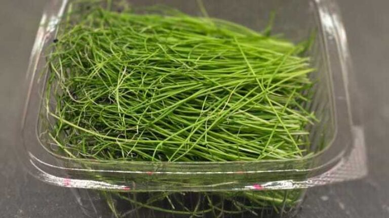 2bfa335e f8fb 4bed 91f5 22104bcfbb65