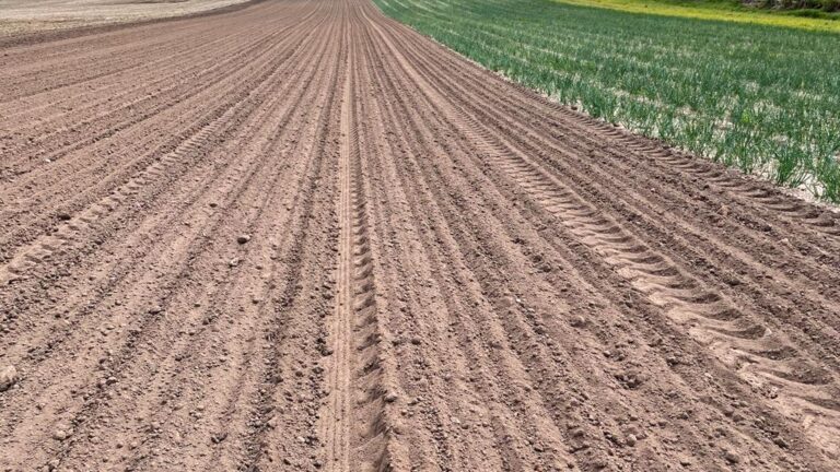 Dry soil