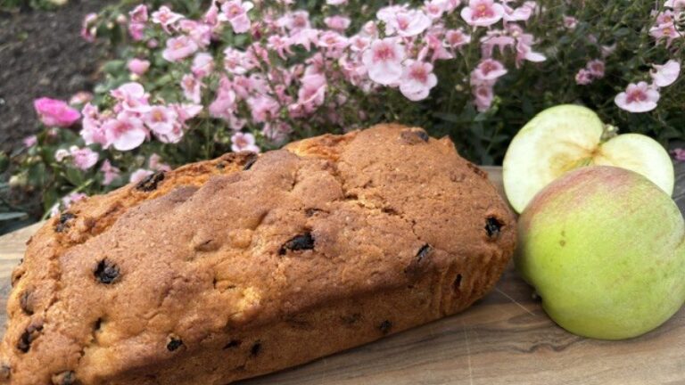 Baby Apple Sultana Loaf