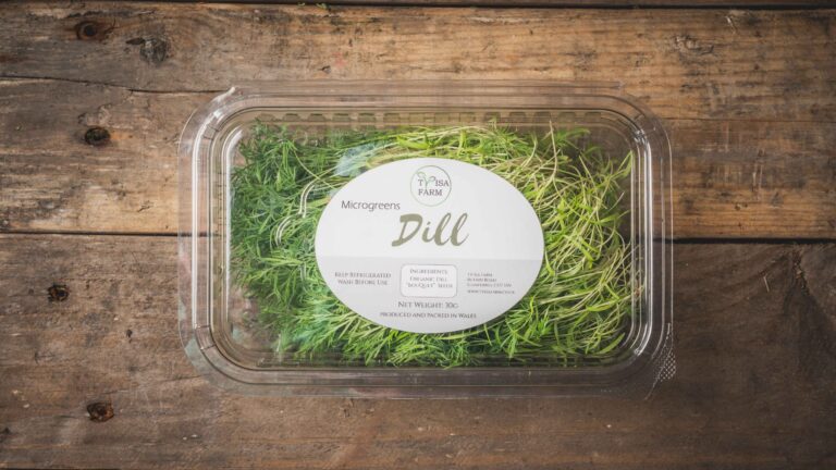 Dill