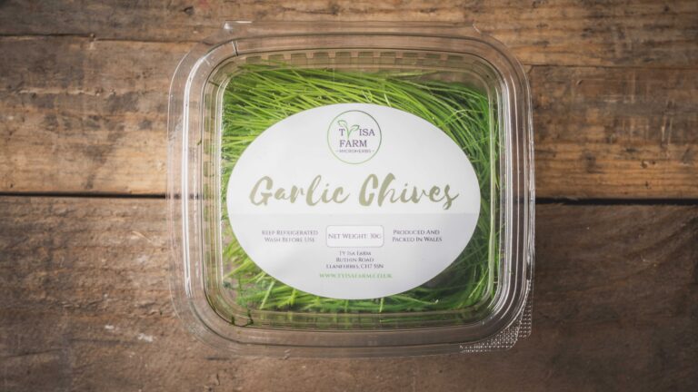 Green chives