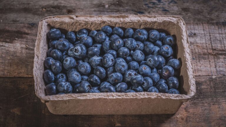 Blueberries min min 1 1