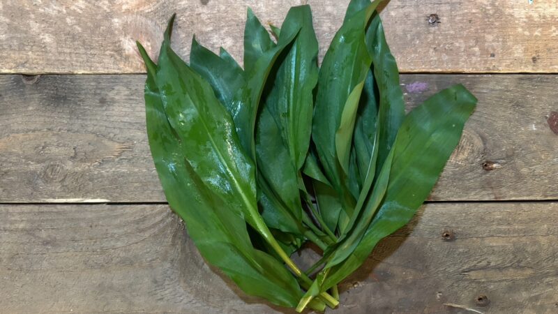 Screenshot 2026 03 16 at 14 50 02